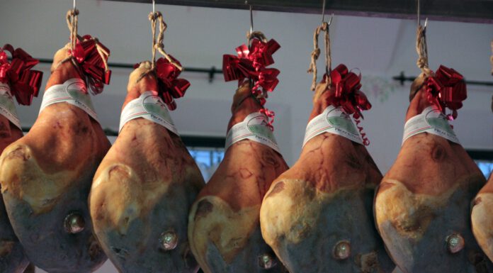 NAS A CASTELVETRO, SEQUESTRATI OLTRE 250 PROSCIUTTI IN UN’AZIENDA