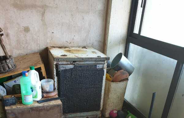 RECLUSI TRA ESCREMENTI E SPAZZATURA: SALVATI 20 GATTI DALLE GUARDIE ZOOFILE DELL’OIPA MODENA