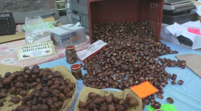 PAVULLO: IL FINE SETTIMANA DELLA FESTA DELLA CASTAGNA