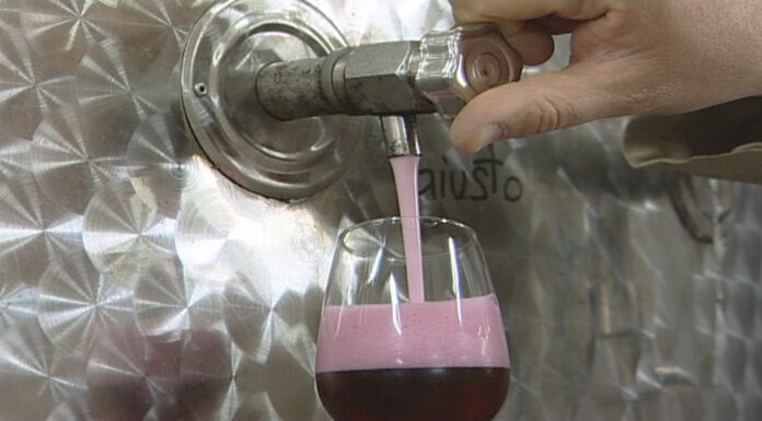 LAMBRUSCO AWARDS: PREMIATE LE MIGLIORI PRODUZIONI DEL 2019