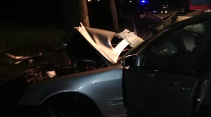 AUTO SI SCHIANTA CONTRO UN ALBERO, MUORE 22 ENNE A CASTELFRANCO EMILIA CASTELFRANCO EMILIA, AUTO SI SCHIANTA CONTRO UN ALBERO, MUORE 22 ENNE