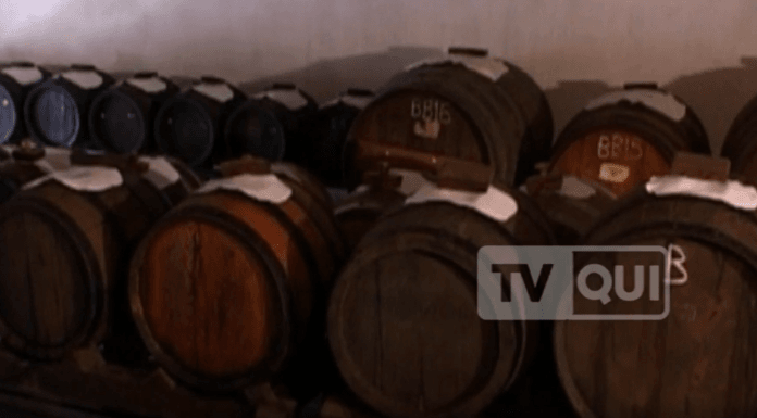 ACETO BALSAMICO, L’ORO NERO E’ NEL PATTO UE CINA SU DOP- IGP