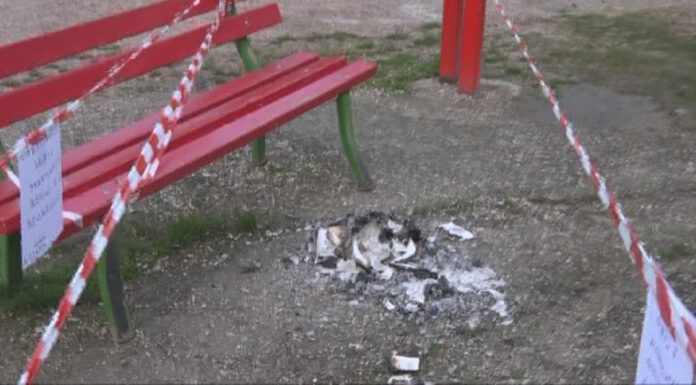 PARCO AMENDOLA, LIBRI BUTTATI A TERRA E DATI ALLE FIAMME PARCO AMENDOLA, LIBRI BUTTATI A TERRA E DATI ALLE FIAMME