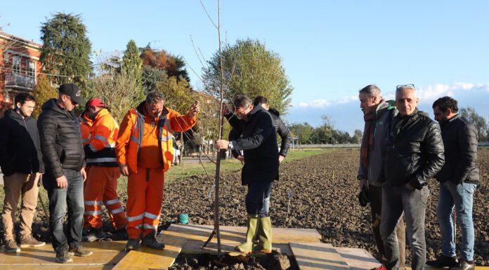 BOSCO DI VACIGLIO, PIANTATO IL PRIMO ALBERO
