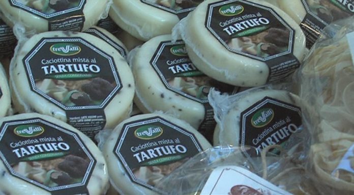 MONTEFIORINO, LA MOSTRA MERCATO DEL TARTUFO