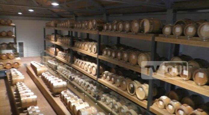 ACETO BALSAMICO, PIENA TUTELA CONTRO LE EVOCAZIONI