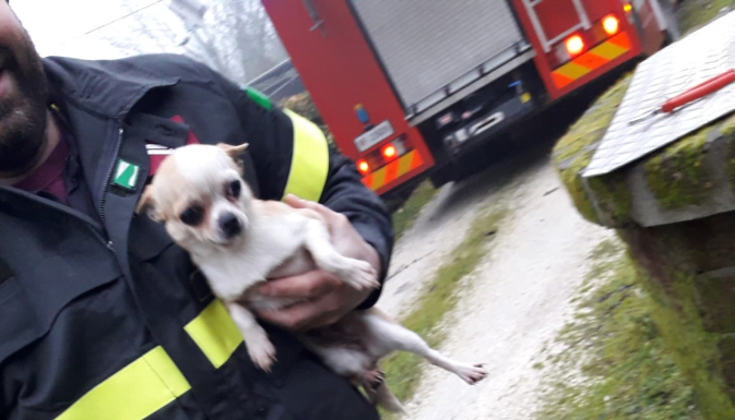 CONCORDIA: I VIGILI DEL FUOCO SALVANO UN CANE CADUTO IN UN POZZO