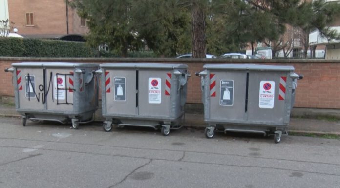 VIA TONIOLO: CANE MASSACRATO E GETTATO NELL’IMMONDIZIA, DENUNCIATO IL PADRONE