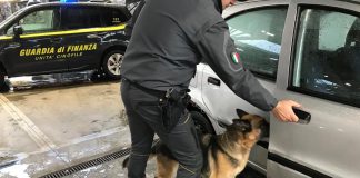 GUARDIA DI FINANZA: ECCO AGRA, IL NUOVO CANE ANTIDROGA