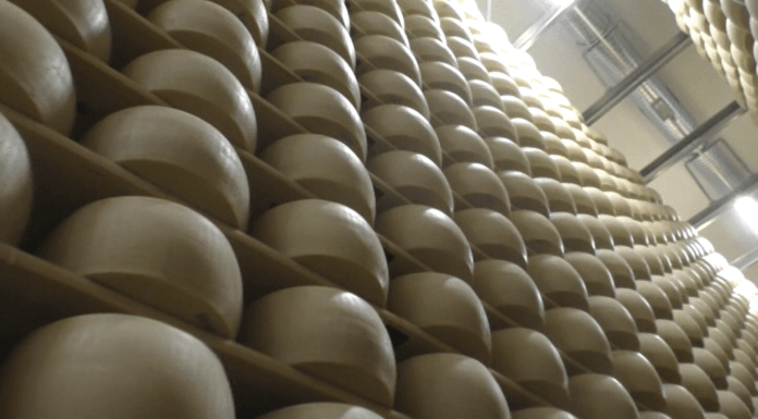 AGRICOLTURA. PARMIGIANO AUMENTA LE VENDITE NONOSTANTE IL COVID