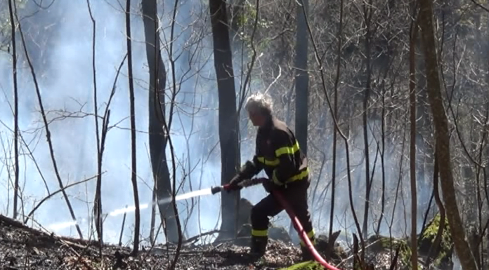 INCENDI BOSCHIVI, L’ALLARME SCATTA A FEBBRAIO