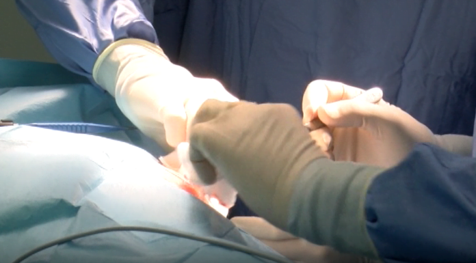 POSTI LETTO, LA REGIONE E’ PRONTA A USARE GLI ALBERGHI