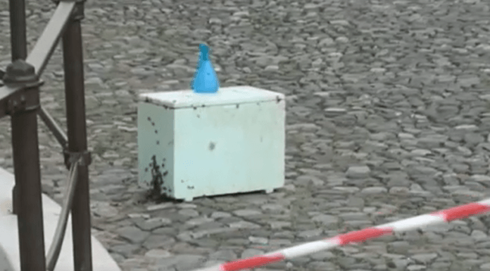 CADE UN ALVEARE DAL DUOMO DI MODENA, INTERVIENE LA POLIZIA