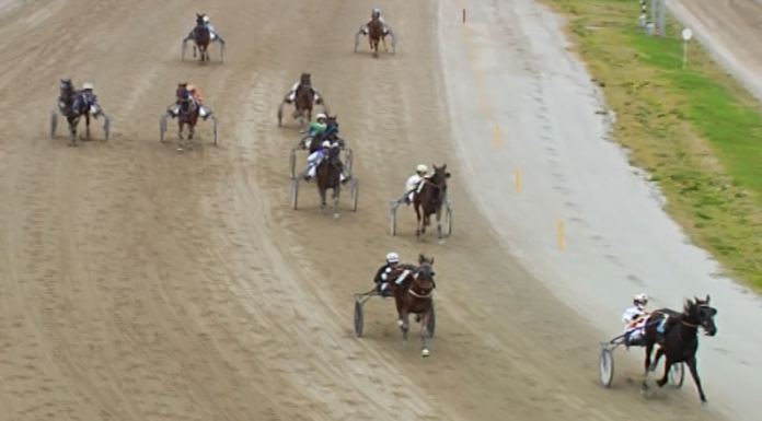MODENA NEL CUORE. LA FESTA BENEFICA DELL’IPPODROMO IN DIRETTA SU TVQUI