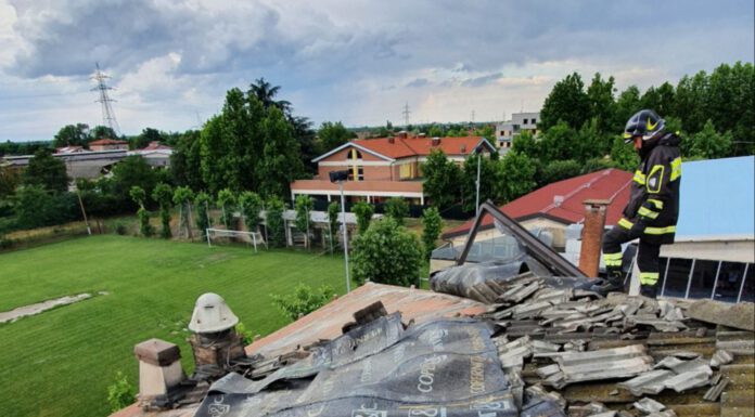 MALTEMPO, ALBERI ABBATTUTI E ALLAGAMENTI IN PROVINCIA