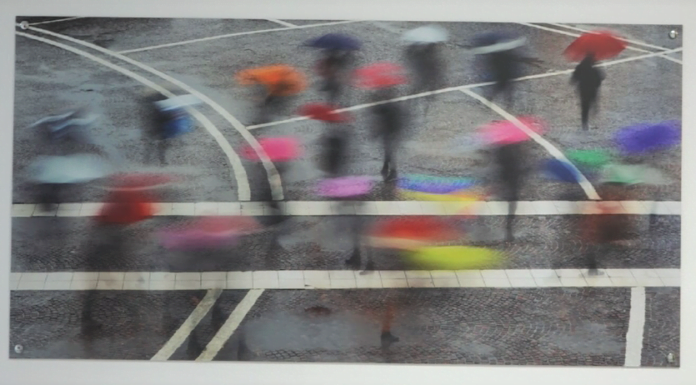 OSPEDALE DI SASSUOLO. IMMAGINI E POESIE NELL’INSTALLAZIONE DI MONTANINI