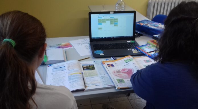 CEIS FORMAZIONE, APERTE LE ISCRIZIONI AI SERVIZI “REMIDA” E “PUNTO DSA”