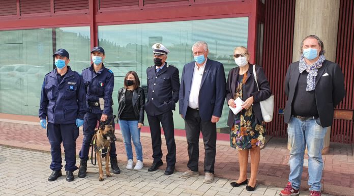 POLIZIA DI SASSUOLO: ECCO HECTOR, IL CANE ANTIDROGA DISCENDENTE DI AXEL