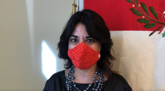 “PROGETTO CARPI”. PRIME IDEE PER LO SVILUPPO DELLA CITTA’ DEI PIO