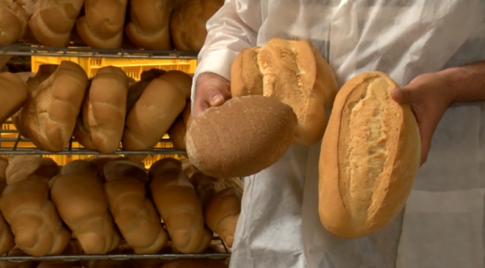 CNA: “NEGOZI ALIMENTARI, AUMENTI INSOSTENIBILI. AUMENTI DEL 50% PER I COSTI DI GESTIONE”