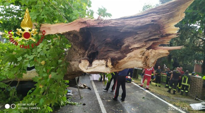 FORTE ONDATA DI MALTEMPO NELLA PROVINCIA DI MODENA. A NOVI CADE UN ALBERO: TRE FERITI