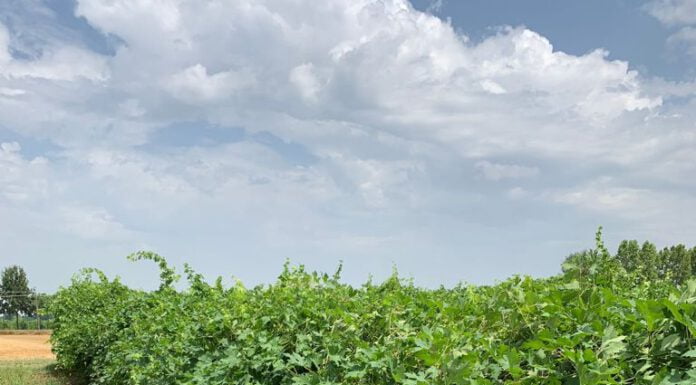 MALTEMPO, EMILIA ROMAGNA KO: LA REGIONE VERIFICA STATO EMERGENZA CON IL GOVERNO