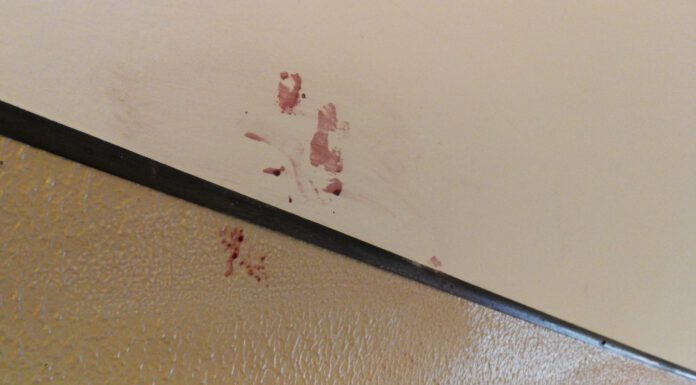 TENTATO OMICIDIO, 41ENNE ACCOLTELLATO AL PETTO IN VIA BONDIGLI