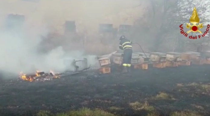 S’INCENDIANO ALCUNE STERPAGLIE: A FUOCO ANCHE LE ARNIE