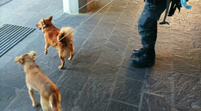 VANNO IN FERIE E LASCIANO I CANI IN BALCONE, DENUNCIATI