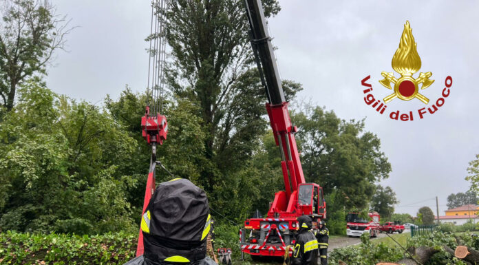 ALBERI DIVELTI, DECINE DI INTERVENTI IN TUTTA LA BASSA