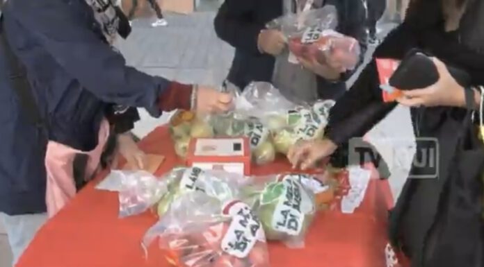 SCLEROSI MULTIPLA, UN SACCHETTO DI MELE A FAVORE DELLA RICERCA