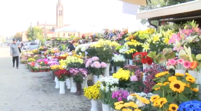 FIORI SALATI, SI AVVICINA LA FESTA DEI DEFUNTI E I PREZZI VOLANO DEL 20%