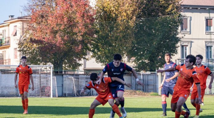 DOPPIO VOLTO. CARPI LETALE IN CASA, MA VULNERABILE FUORI