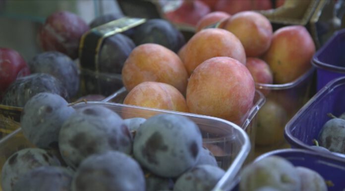 PREZZI IN SALITA, AUMENTA IL COSTO DI FRUTTA E VERDURA. COLPA DELLE SPECULAZIONI