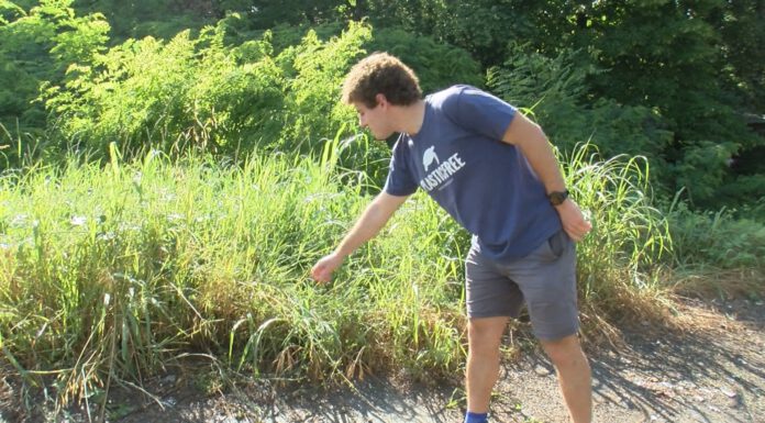 ORDIGNO ESPLOSIVO, A ROMA PER LE ANALISI. LA DIGOS CERCA IL RESPONSABILE