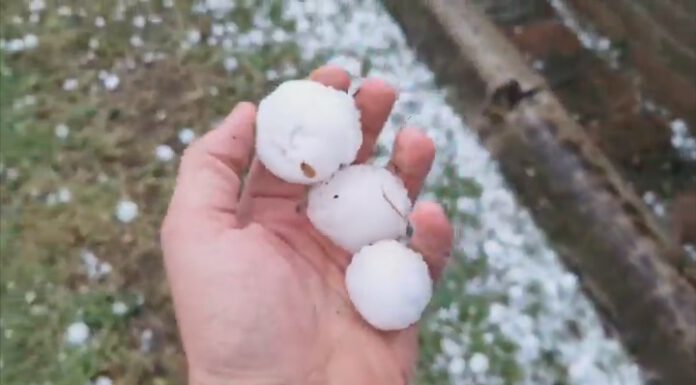 ALLERTA METEO, DISASTRI DA GRANDINE NELLA BASSA MODENESE