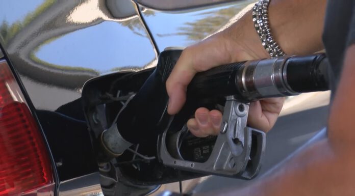 ACCISE E RINCARI BENZINA, A MODENA IL CODACONS PRESENTA UN ESPOSTO ALLA MAGISTRATURA