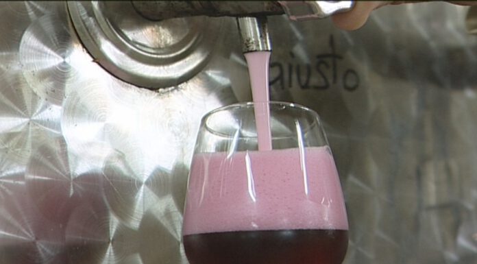 AGROALIMENTARE, LA REGIONE EMILIA ROMAGNA SCOMMETTE SUL VINO