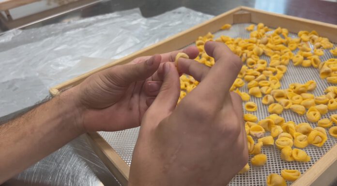 IL TORTELLANTE SI AMPLIA, UNA NUOVA BOTTEGA DOVE CUCINA E INCLUSIONE SI INCONTRANO
