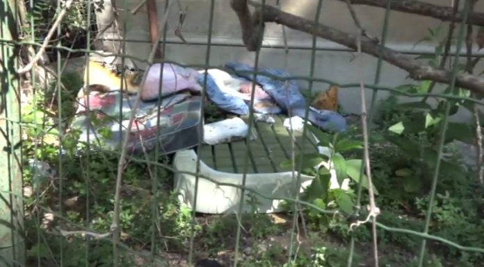 CONTROLLI IN VIA MALMUSI, EDIFICIO SGOMBERATO: UN ARRESTO E CINQUE DENUNCIATI