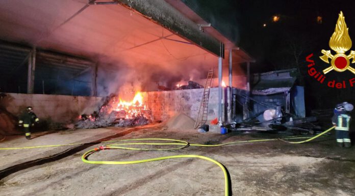 INCENDIO IN UNA STALLA, A SESTOLA MESSI IN SALVO 140 ANIMALI