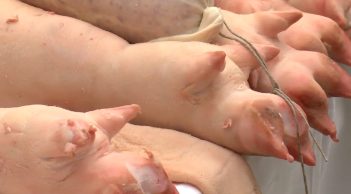 ABBUFFATE DI NATALE, TAVOLE PRONTE… MA CON CHE RISCHI? PARLA LA DIETISTA