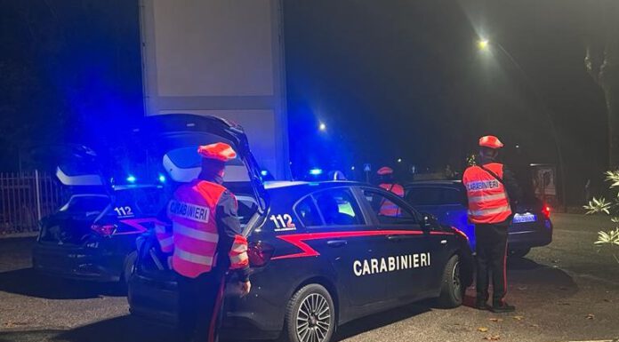 PARCO NOVI SAD, ARRESTATO PER SPACCIO UN 18ENNE TUNISINO