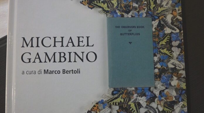 LA MOSTRA, LE FARFALLE PROTAGONISTE DELLE OPERE DI GAMBINO