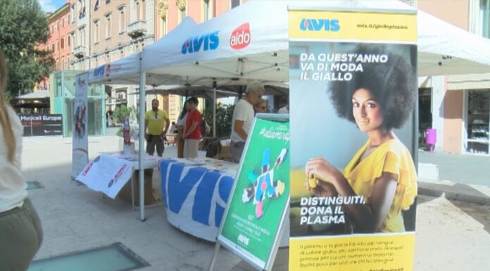 MODENAMOREMIO. IN CENTRO STORICO CON AVIS, AIDO E ADMO