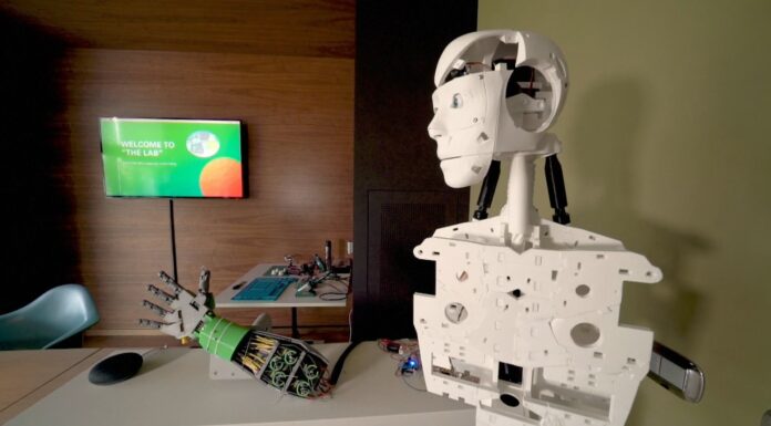 CROLLO DEMOGRAFICO, IN VENT’ANNI A MODENA -22% DEI LAVORATORI