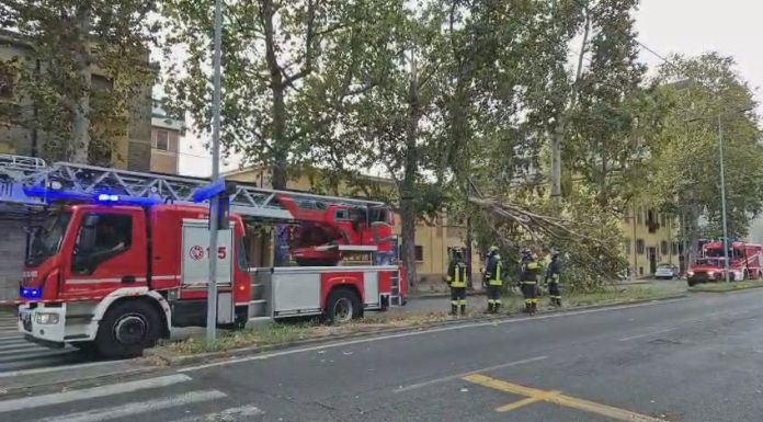 MALTEMPO IN PIANURA: CINQUANTA INTERVENTI DEI VIGILI DEL FUOCO PER RAMI E ALBERI CADUTI
