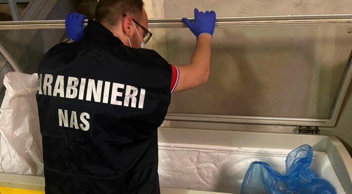 SEQUESTRO DEI NAS, 22 CHILI DI ALIMENTI SCADUTI IN UNA GELATERIA DI MODENA