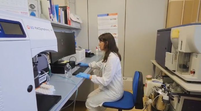 TUMORI DEL PANCREAS, UNA NUOVA SPERANZA: TERAPIA GENICA E CHEMIOTERAPIA