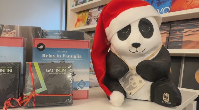 VACANZE NATALIZIE, MODENESI PRONTI A PARTIRE. MA OCCHIO AI RINCARI